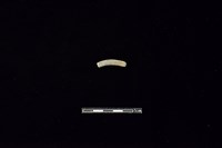 陶環藏品圖，第1張